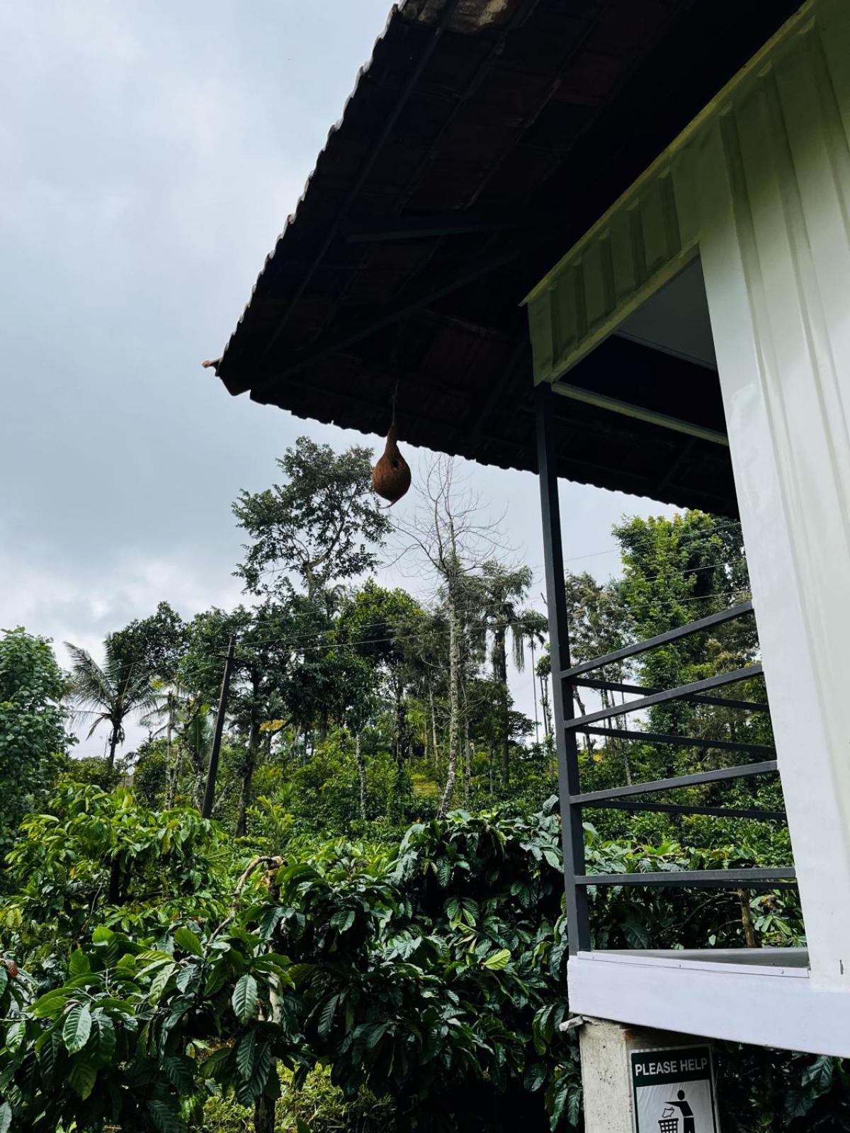 Vigo Homes Sakleshpur Buitenkant foto
