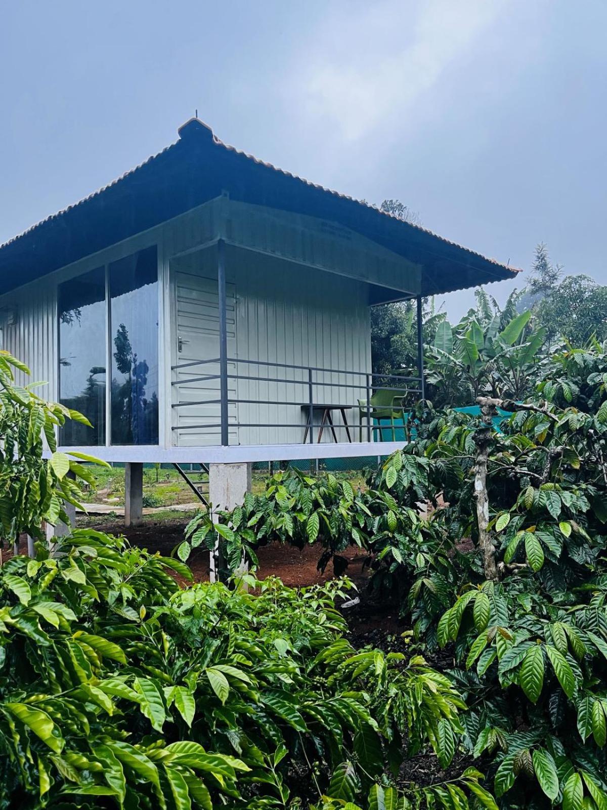 Vigo Homes Sakleshpur Buitenkant foto