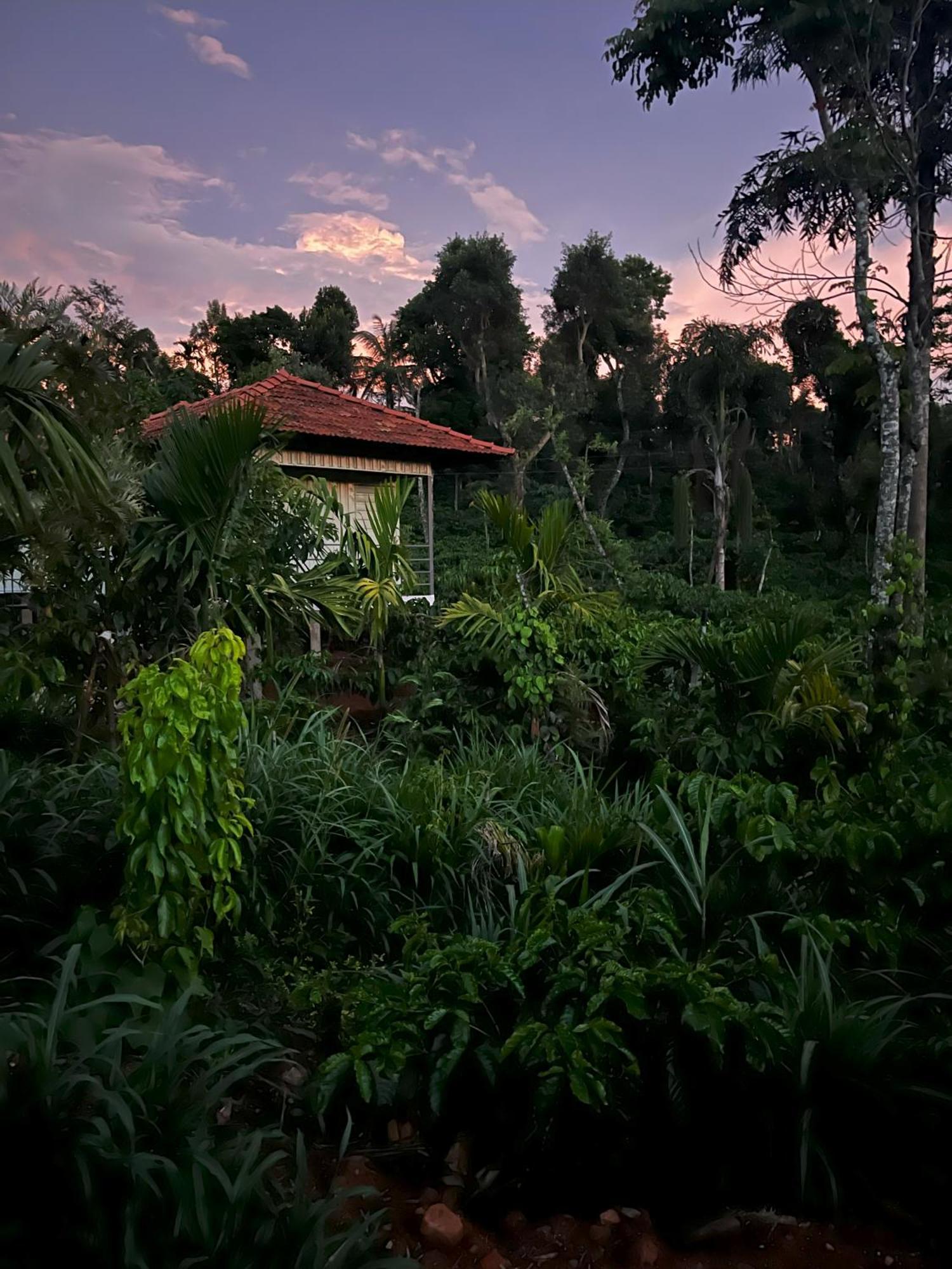 Vigo Homes Sakleshpur Buitenkant foto