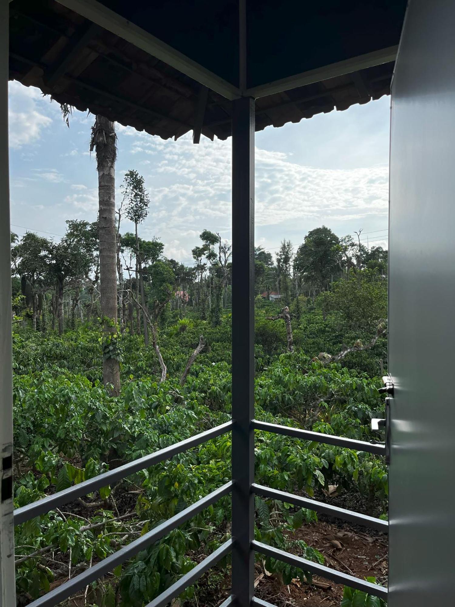 Vigo Homes Sakleshpur Buitenkant foto